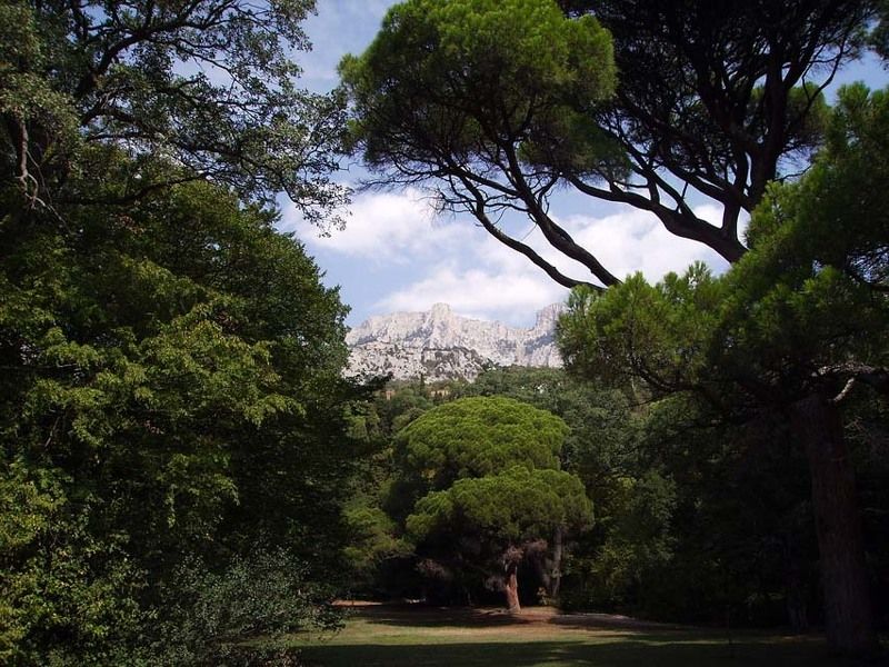 лес, гора, полянка Уединениеphoto preview