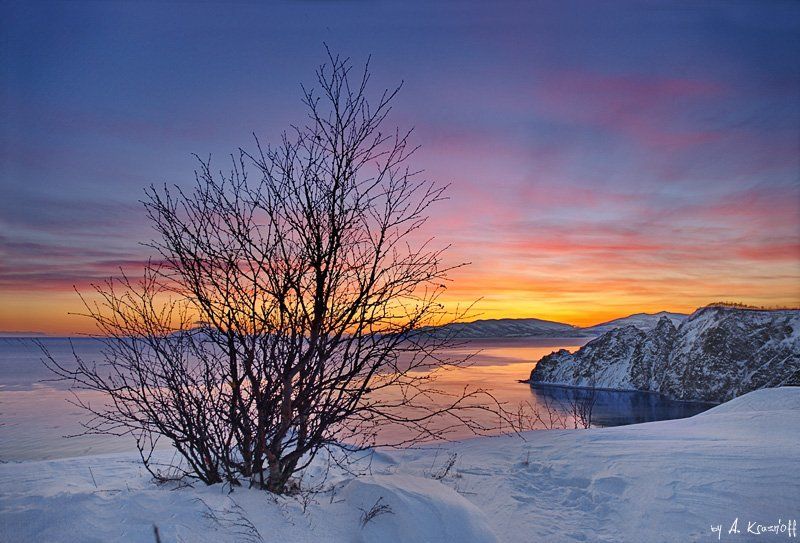 магадан, дерево, охотское, море, лед, закат Silence...photo preview