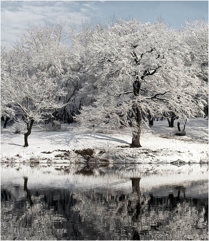 Рапсодия зимыphoto preview