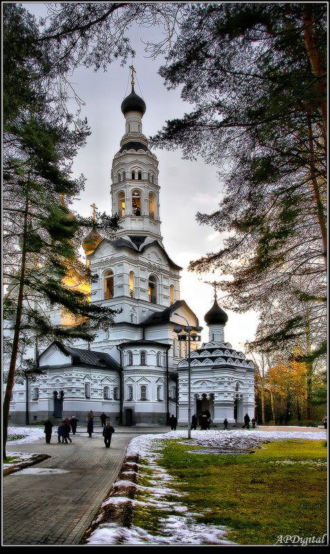 зеленогорск Светphoto preview