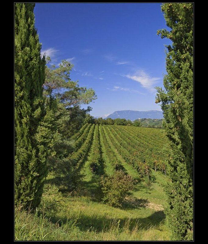 Тосканаphoto preview