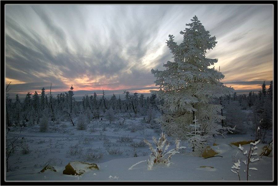 Закаты Заполярья. Автор: Солодухин Виктор закат зима тайга заполярье, Солодухин Виктор