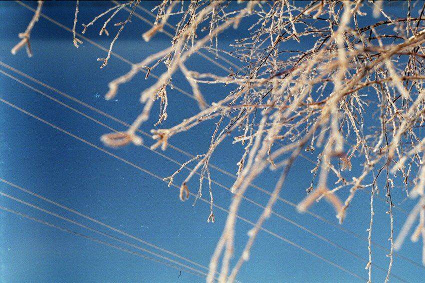 ***. Автор: kamushek kamushek, пленка, зенит-122, kamushek