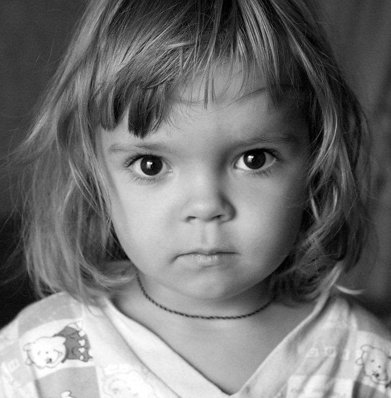 Доброе утро ! День выборов. фото превью