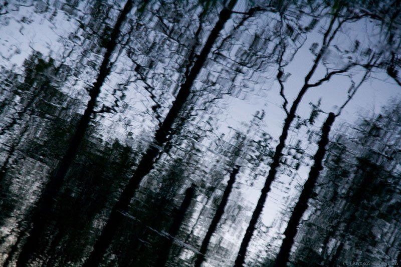 тонутьphoto preview