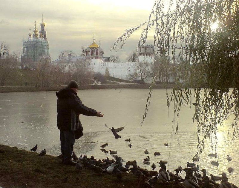 москва, ноябрь, птицы Птицы у святых местphoto preview