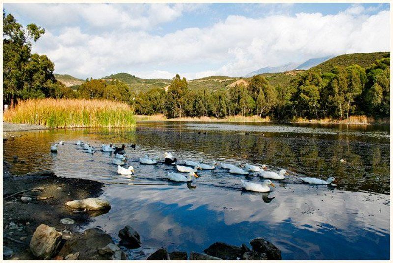озеро, пейзаж, утки, природа, испания, spain, viuga неожиданный испанский пейзажphoto preview
