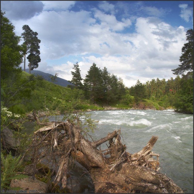 кавказ, архыз, лето, река, пейзаж У поселка Архыз фото превью