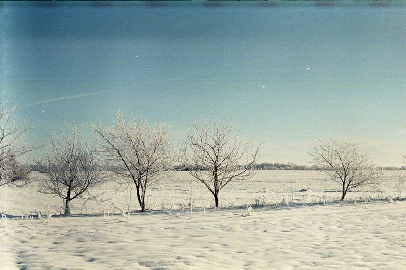 kamushek, зенит-122, пленка, helios ***photo preview