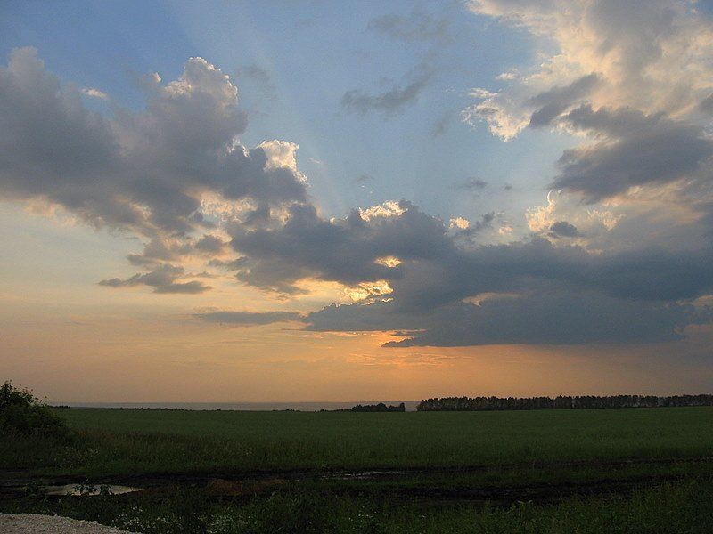 антоновка закатphoto preview