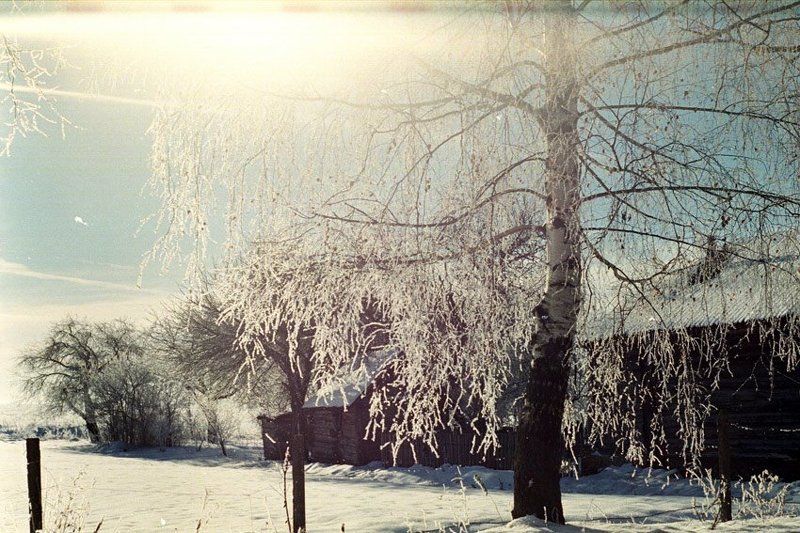 kamushek, пленка, зенит-122, helios ***photo preview