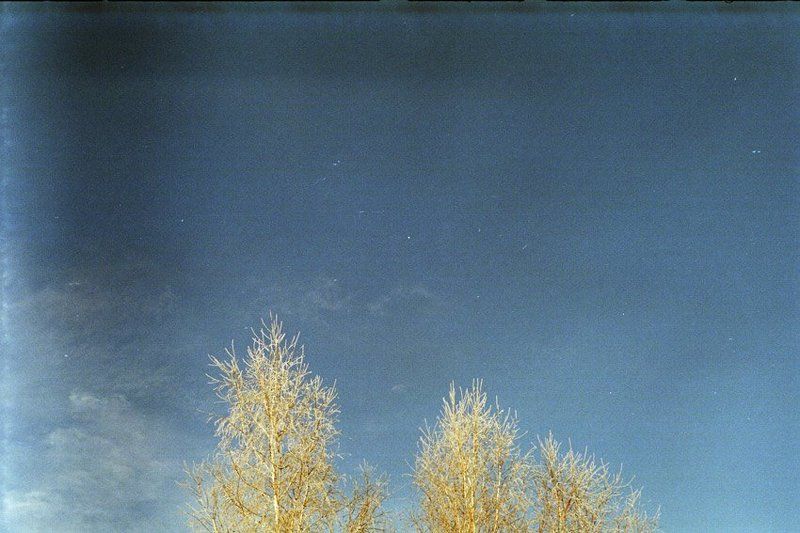 kamushek, пленка, зенит-122, helios ***photo preview