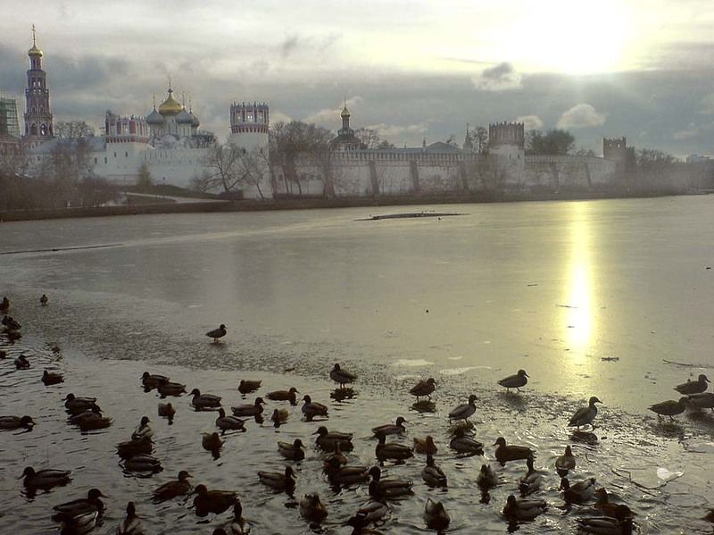 ноябрь, птицы, закатгород, eliz Закатphoto preview