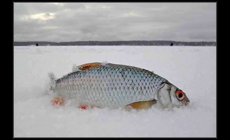 Перваяphoto preview