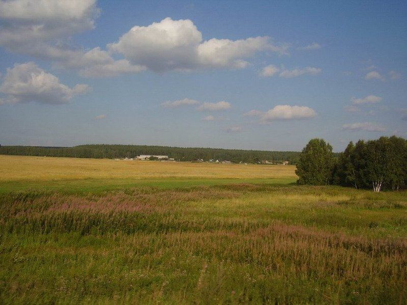 лето, поле Поле... русское полеphoto preview
