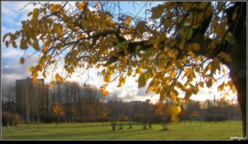 осень парк Осень в нашем паркеphoto preview