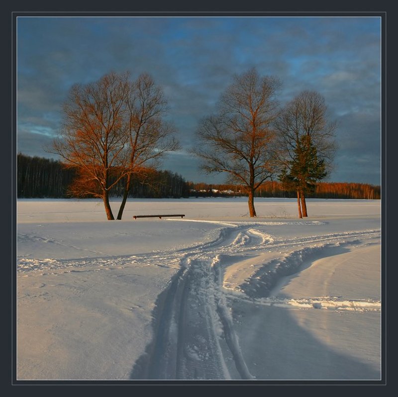 про три красных дерева...photo preview