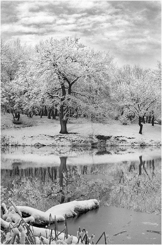 Природеяниеphoto preview