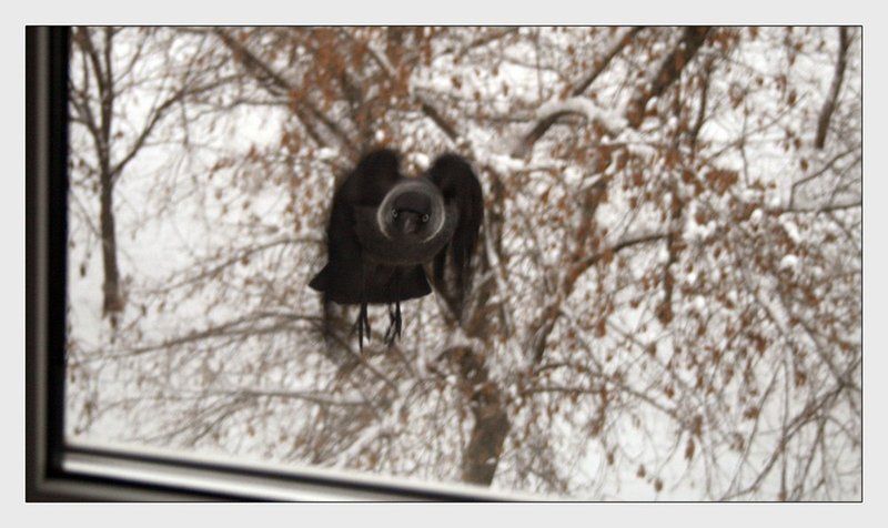 что кушаем сегодня?photo preview