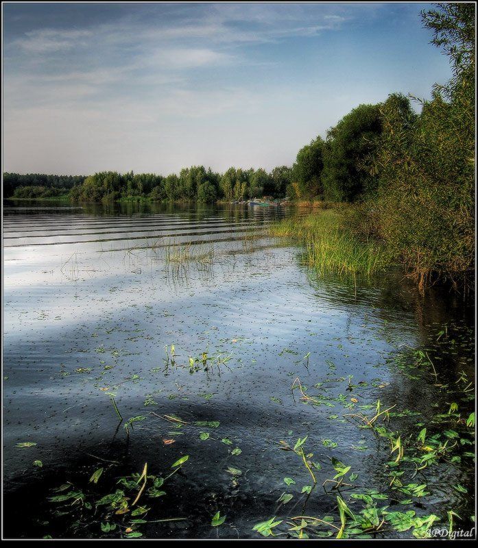 Всплескphoto preview