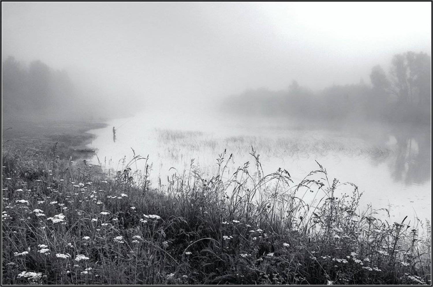 Рыбацкое утро. Автор: Аня Графова нсо, река, иня, лето, туман, рыбак, аня графова, Аня Графова