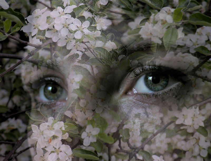 глаза, весна, девушка,взгляд взгляд весныphoto preview