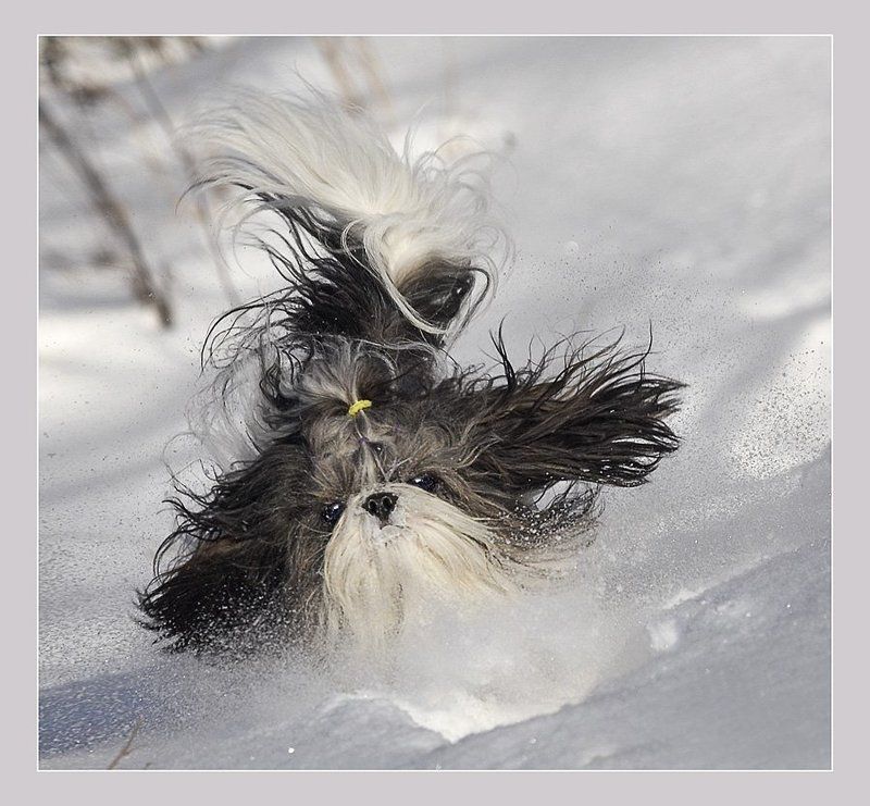 Бежать по ЗИМЕ фото превью