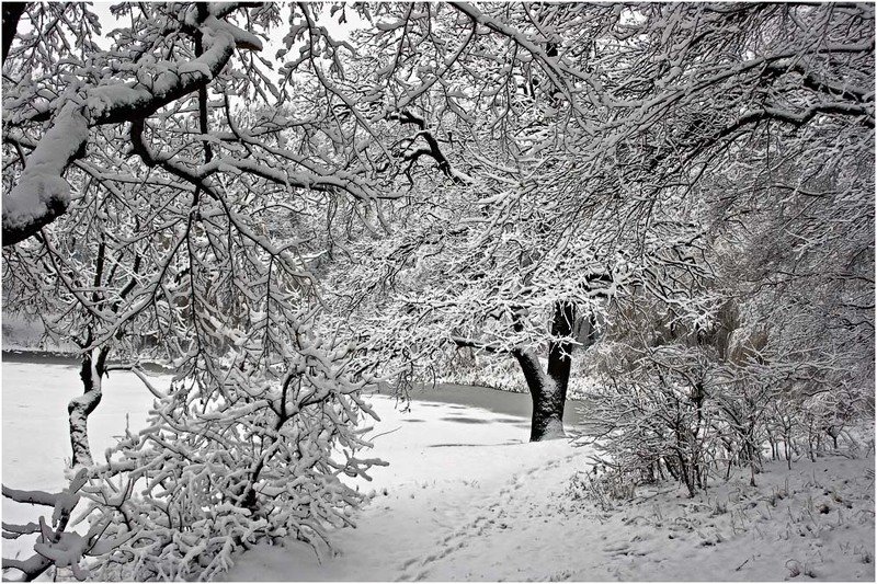 Шагая в зимуphoto preview