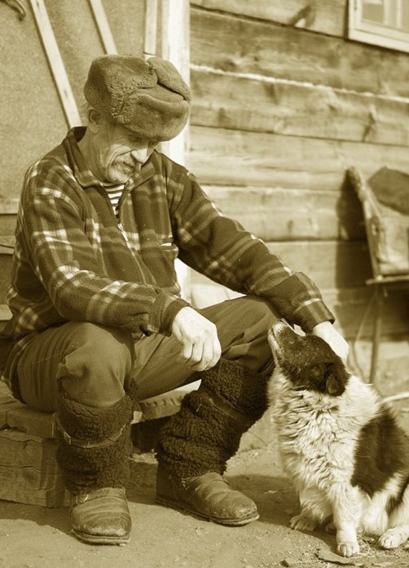 время,старость,дед,друг,собака Скоротаем вместе старость.photo preview