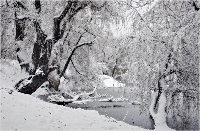 Зимняя  осеньphoto preview