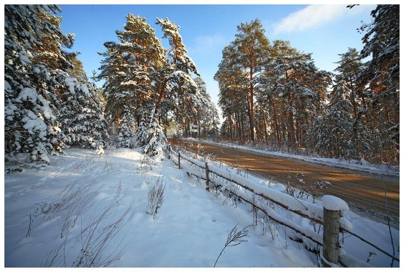 ель, тольятти, самарская область придорожный пейзажphoto preview