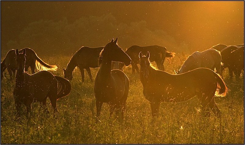 Вечерphoto preview