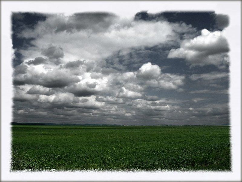 лето в три цветаphoto preview