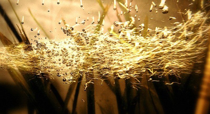 воздух!photo preview