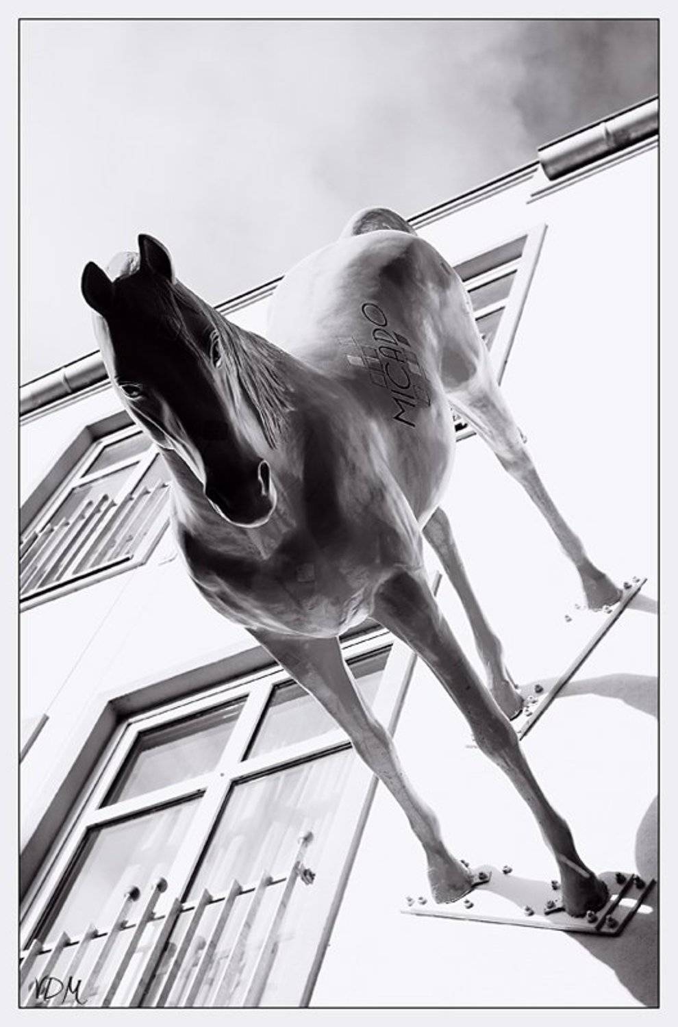 Стеноконь. Автор: VDM статуя, VDM