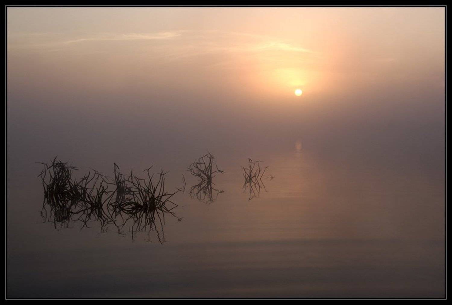 Утро охотника. Автор: sevat озеро, sevat