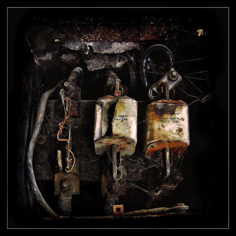 чубайс, жучок, предохранители Жучокphoto preview