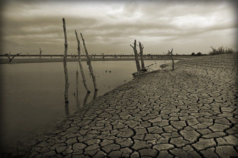 река, псекупс, засуха, северный, кавказ, адыгея Когда долго не идут дожди...photo preview