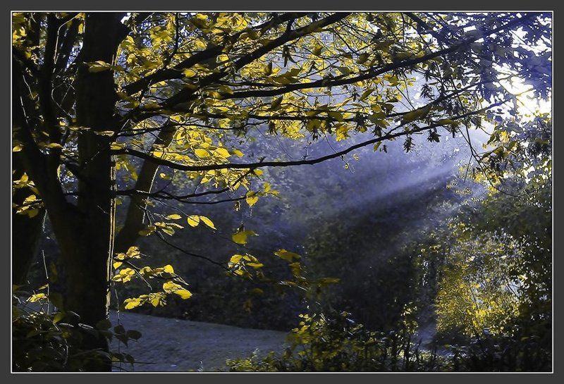 утро, туман, синий Синий туманphoto preview