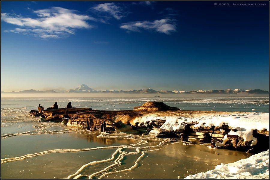 Зимнее лето. Автор: Александр Лицис лед, трещины, пирс, сивучи, море, горы, Александр Лицис