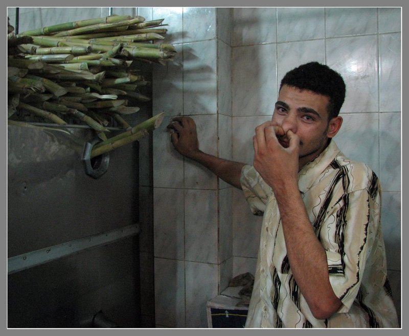 Тяжкий труд по изготовлению тростникового сока )))photo preview