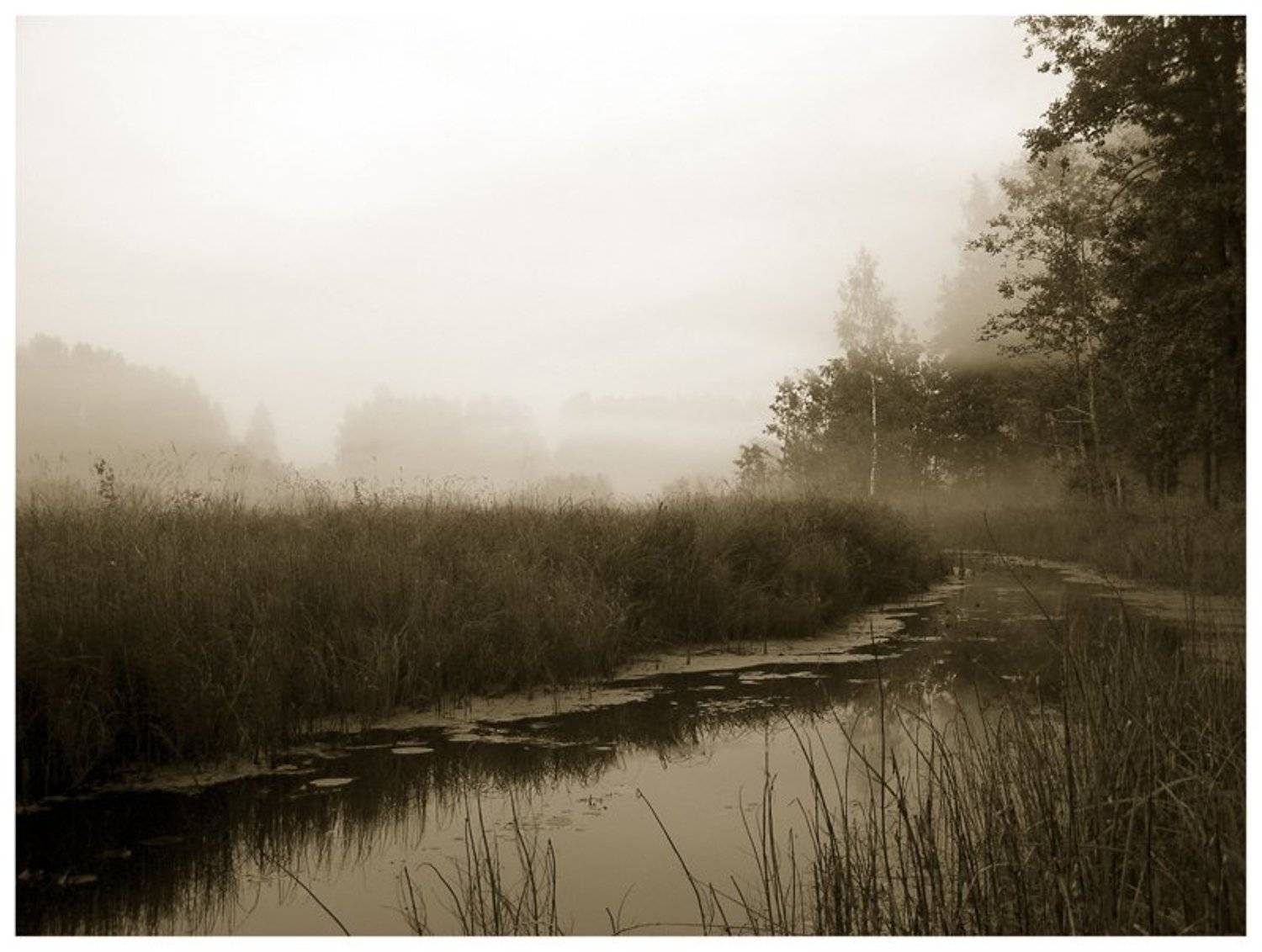 над болотом туман. Автор: Сергей Дужников р.люнда, туман, вечер, Сергей Дужников