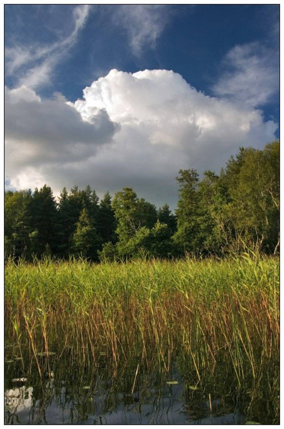 облака, селигер, Алексей Самарин