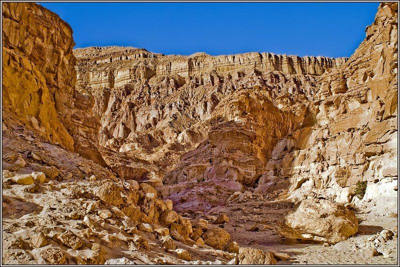 Коньёнphoto preview