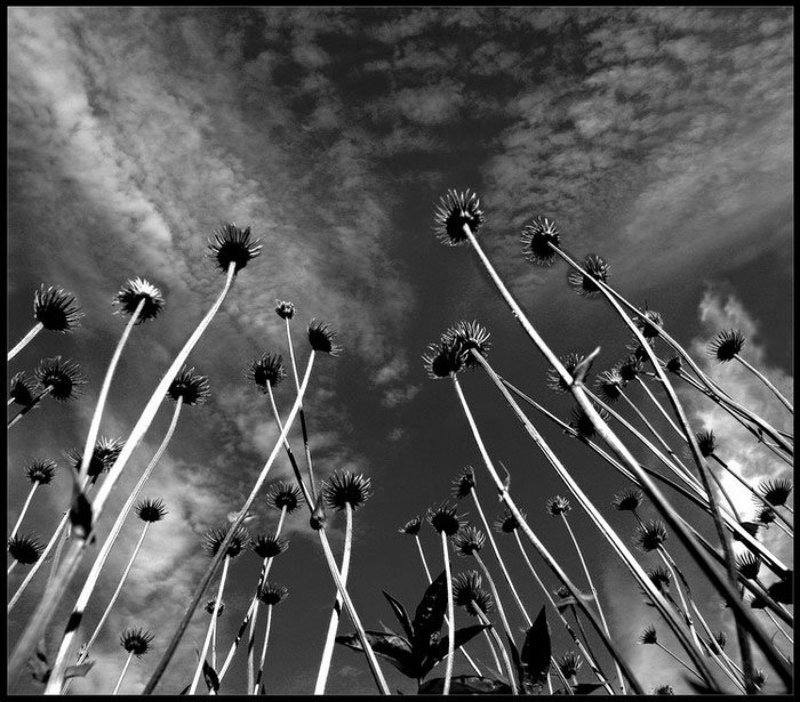 вопросы без ответовphoto preview