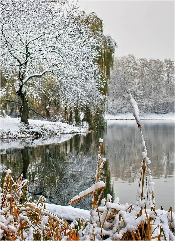 Тихая заводьphoto preview