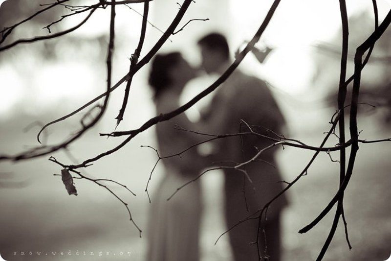 .anatomy of kiss p4 фото превью