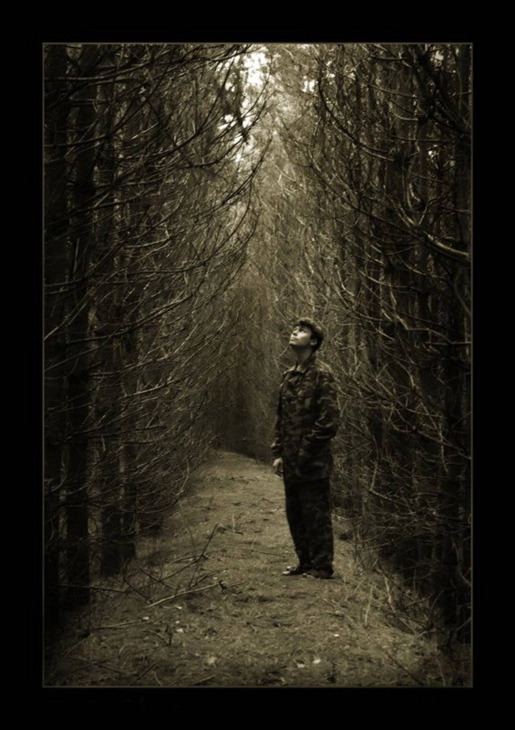 мертвый лес, человек, Сергей Дужников