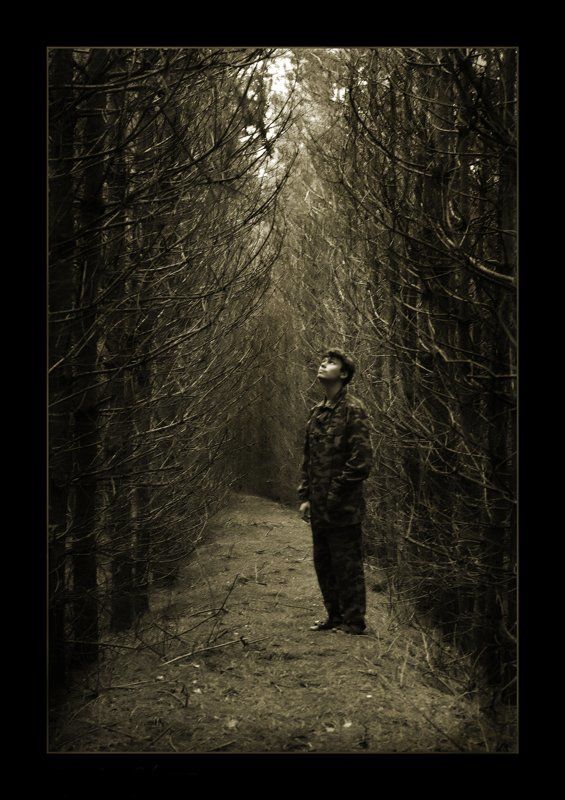 мертвый лес, человек мертвый лес фото превью