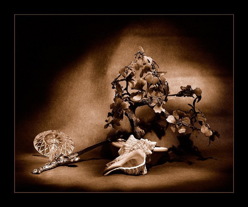 световая кисть, натюрморт, сепия *** фото превью